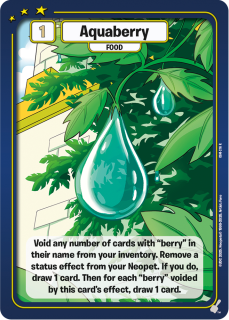 Aquaberry [Champions of Meridell]