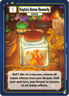 Kayla's Home Remedy [Champions of Meridell]