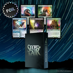 Secret Lair: Drop Series - Math Is For Blockers (Foil Edition)