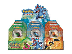 HeartGold & SoulSilver - Collector's Tin Display