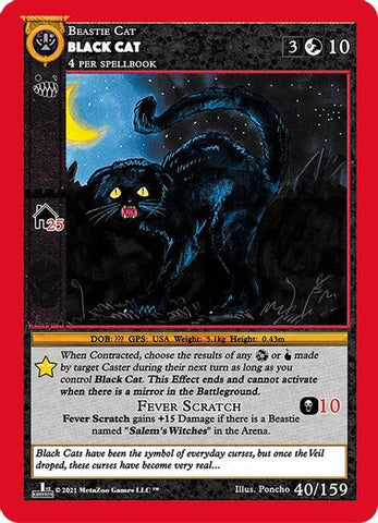 Black Cat [Cryptid Nation: First Edition]