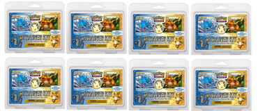 HeartGold & SoulSilver - Trainer Kit 2-Player Starter Set Display